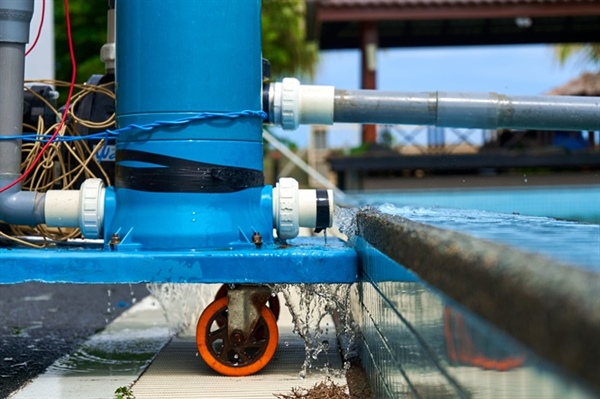 What Happens to Utilities and Plumbing During Pool Removal?